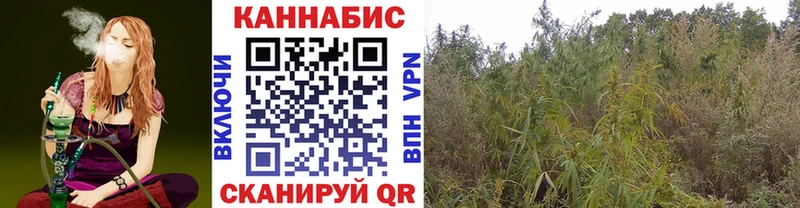Бошки марихуана THC 21% Ноябрьск